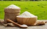 ممنوعیت واردات برنج برداشته شد/ ۲۰۰ هزار تن برنج در صف تخصیص ارز قرار گرفت